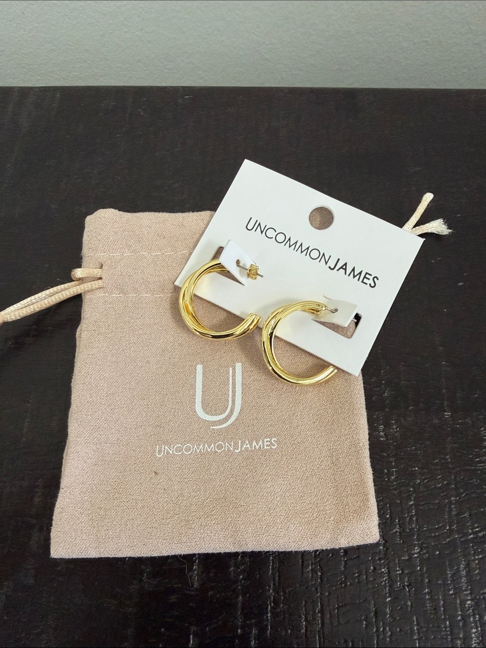 Uncommon James Twisthoop Earrings